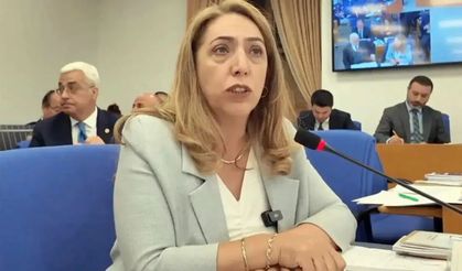 DEM Partili Aydeniz TBMM İdare Amirliği’nden istifa etti