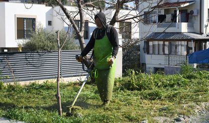 Kuşadası'nda yeşil alanlar ve sokaklar yenileniyor