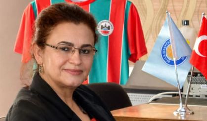 Sınırdan gelen yorgun mermi profesörü yaraladı