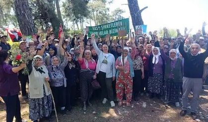 İstanbul Barosu’ndan Akbelen çağrısı