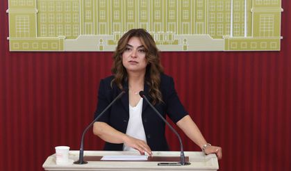 DEM Parti'den çerçeve yasa taslağı açıklaması