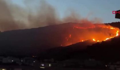 İzmir Çiğli’de otluk yangın: Hava desteği durdu