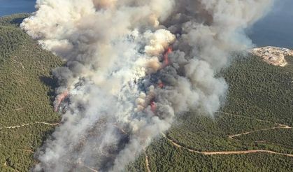 Muğla’da üç ilçede yangın alarmı