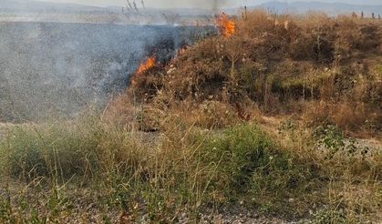 Şuhut’ta anız yangını paniğe neden oldu