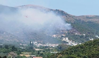 Marmara Adası yangınında 1 kişi gözaltında