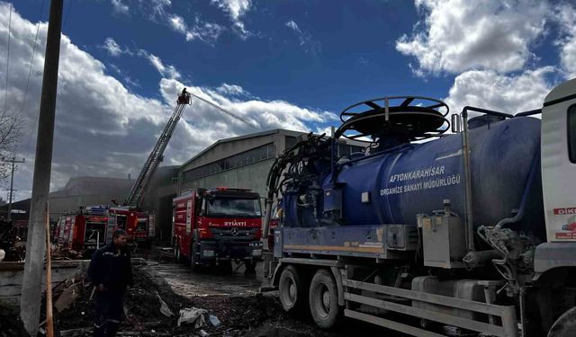 Afyonkarahisar OSB'deki kereste fabrikasında yangın