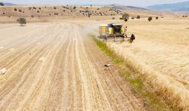 Çiftçinin üretim planlaması yok