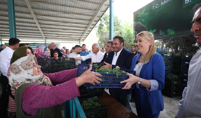 Merkezefendi Belediyesi'nden üreticilere fide desteği