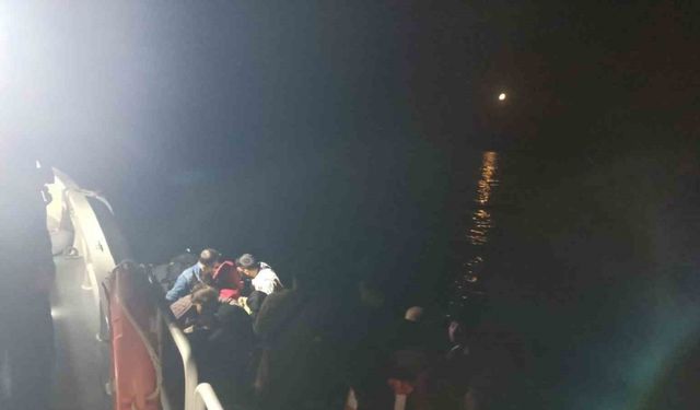 43 göçmen ve 2 Türk vatandaşı yakalandı