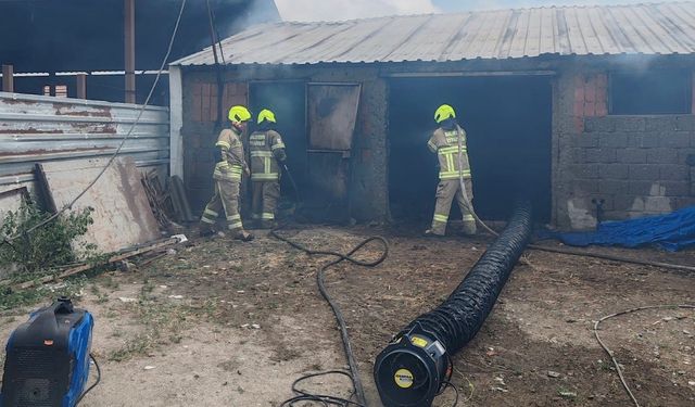 Balıkesir’de ahırda çıkan yangında 42 küçükbaş hayvan telef oldu