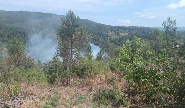 Çanakkale’de orman yangını kontrol altına alındı