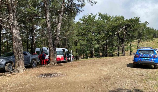 Çevre ve Şehircilik İl Müdür Yardımcısı kayboldu... AFAD dağlık alanda arıyor