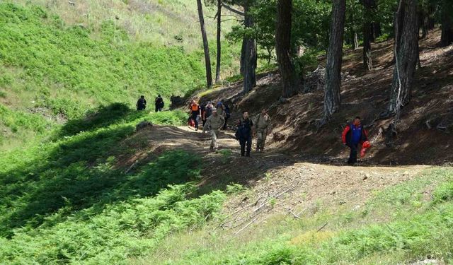 Doğa yürüyüşünde kaybolmuştu... Acı haber geldi...