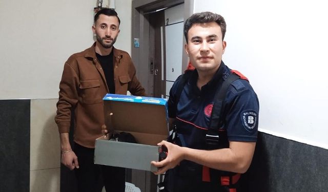 İtfaiye erleri kurtardıkları karga yavrularını elleriyle besledi
