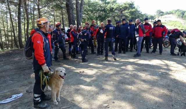 Kayıp müdür yardımcısı 120 kişilik ekiple aranıyor
