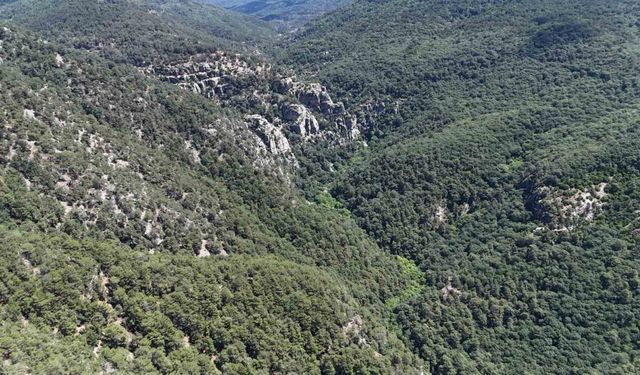 Kayıp müdür kanyon geçişi yaparken sele kapılmış