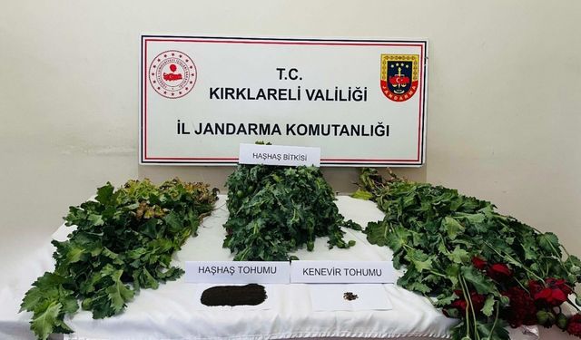 Kırklareli’nde uyuşturucu operasyonu: 8 gözaltı