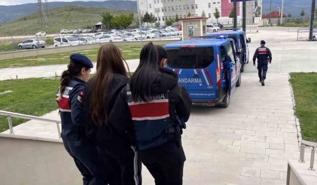 Sahte araç kiralama siteleriyle 160 milyon TL vurgun...