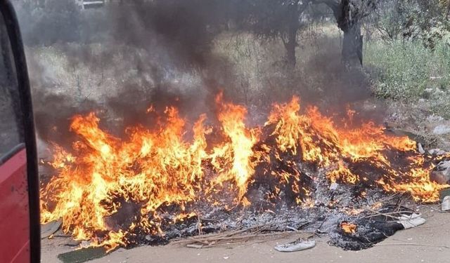 Balıkesir’de 1 haftada 14 yangın! Yetkililer uyardı