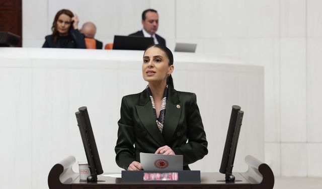 CHP'li Özcan:  Arıcıya destekler yetersiz... Çam balı tehlikede...