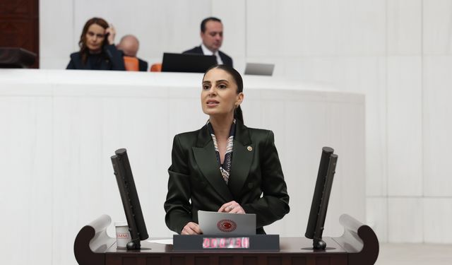 CHP'li Özcan: Hayvanların yaşam hakkını gasp eden yasa, baskı aracına dönüştü