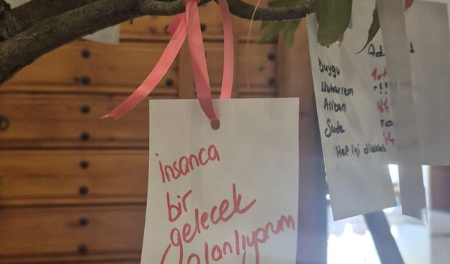 Üniversiteli gençlerin 'Umut' ağacında umutsuzluk...