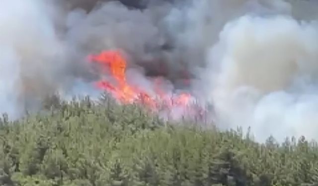 Akhisar’da başlayan orman yangınına müdahale devam ediyor