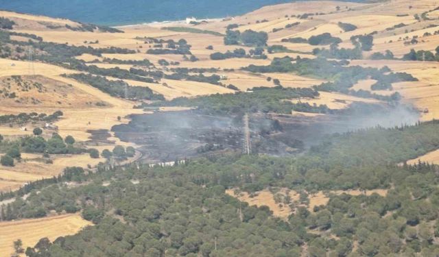 Tarım arazisinde başlayıp ormana sıçrayan yangın kontrol altına alındı