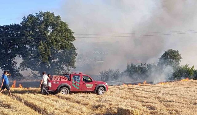 Çan’da anız yangını söndürüldü