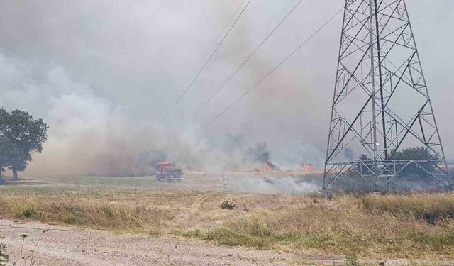 Çan’da tarım arazisinde çıkan yangın kontrol altına alındı