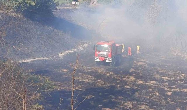 Çan’da tarım arazisinde yangın çıktı