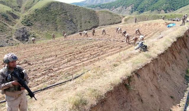 Diyarbakır’da yaklaşık 160 milyar 650 milyon TL olan 319 tonluk uyuşturucu maddenin topluma sunulmasının önüne geçildi