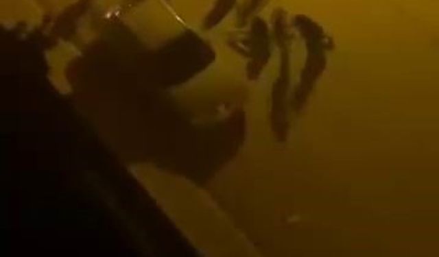 Elazığ’da bıçaklı kavga: 1 yaralı