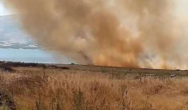 Elazığ’da otluk alanda çıkan yangın korkuttu