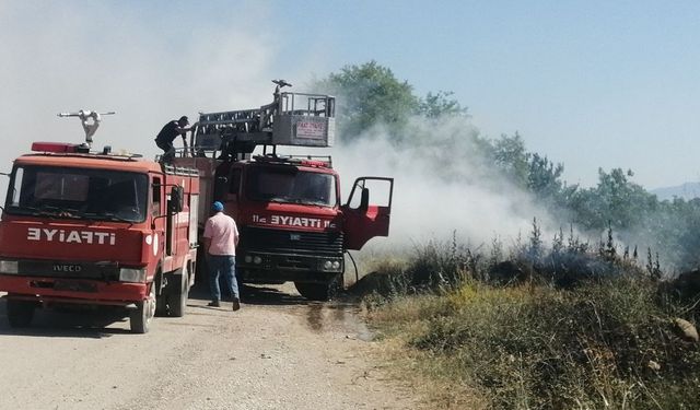 Gelendost’ta göl kenarında çıkan yangında 200 dönüm alan zarar gördü