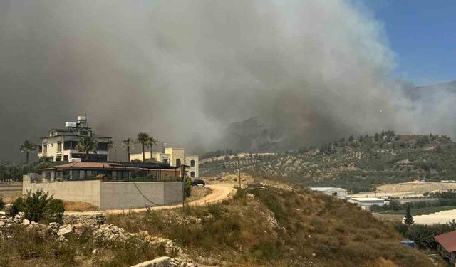 Hatay’da orman yangını