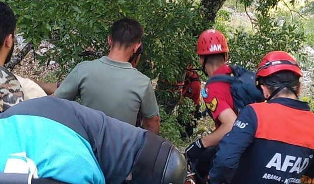 Ihlamur toplarken kayalıklardan düşen emekli polis hayatını kaybetti