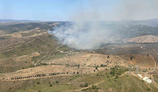 İzmir’de ormanlık alanda yangına havadan ve karadan müdahale başladı