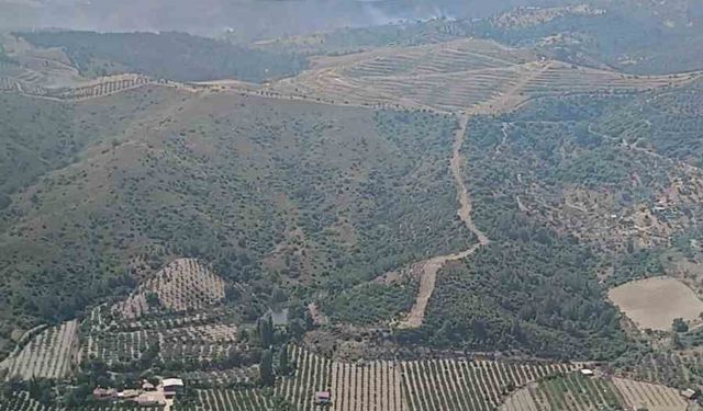 İzmir’de ormanlık arazide çıkan yangın kontrol altında