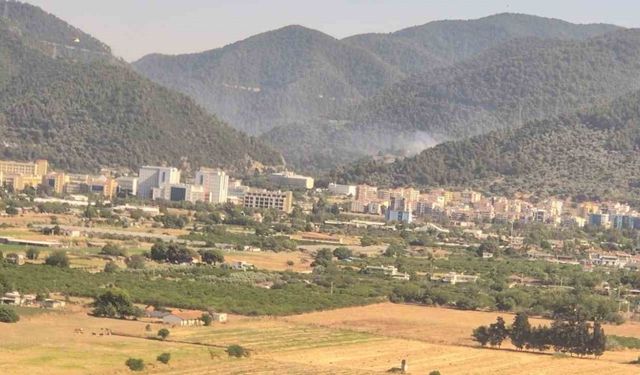 İzmir’deki orman yangınları kontrol altında