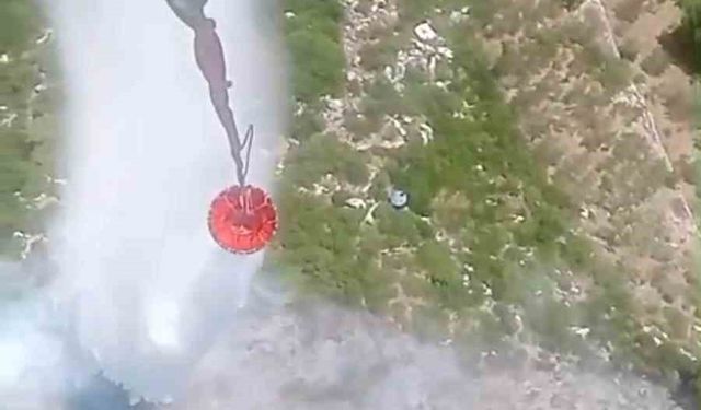 Kemalpaşa’daki orman yangını kontrol altında