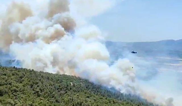 Kırıkağaç’ta yangın yeniden başladı