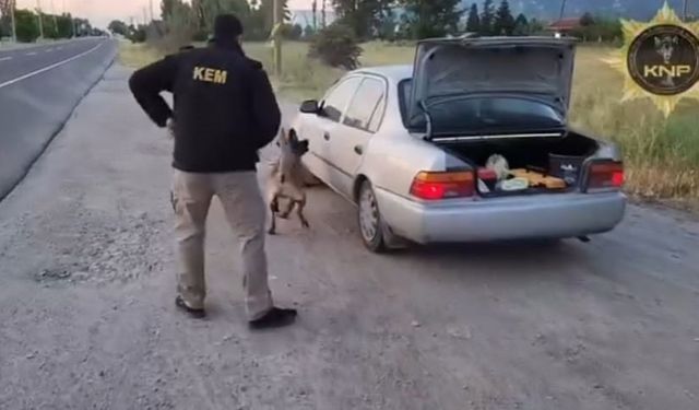 Kütahya’da uyuşturucu operasyonunda Thor’un başarısı: 2 tutuklama