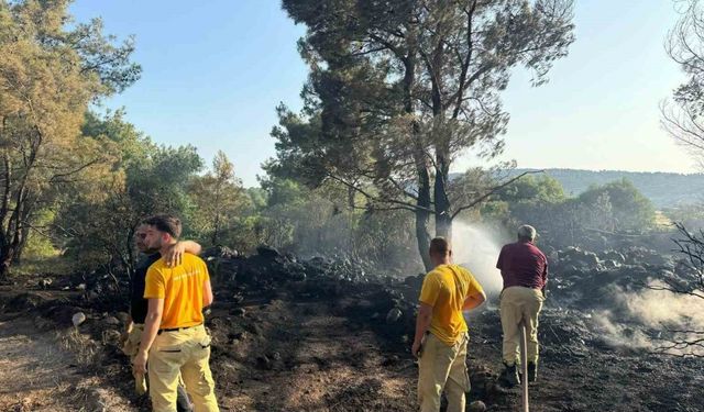 Mangal yakarak orman yangınına neden olan şahıs tutuklandı