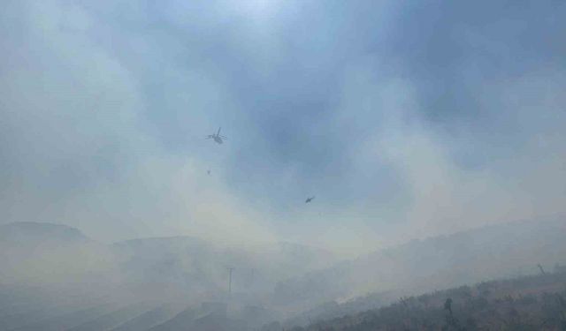 Manisa’da ormanlık alanda yangın: Havadan ve karadan müdahale başladı