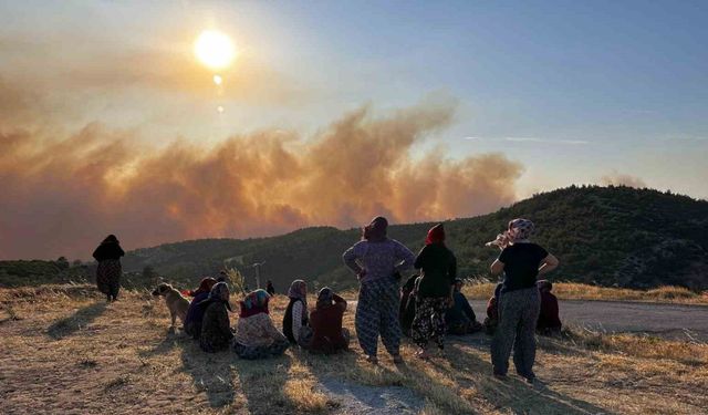 Manisa’daki orman yangını ikinci gününde devam ediyor