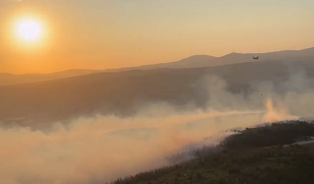 Manisa’daki orman yangınına müdahale tüm hızıyla devam ediyor