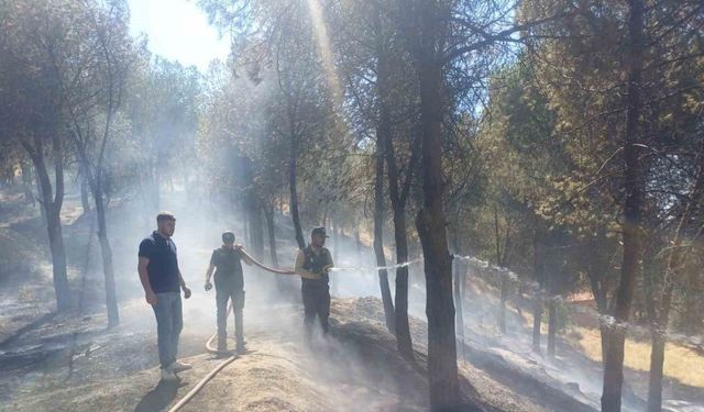 Manisa’daki yangın hızlı müdahale ile söndürüldü