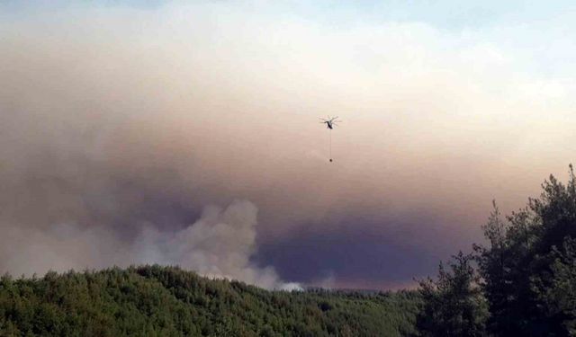 Sakarya’da ormanlık alanda çıkan yangına havadan ve karadan müdahale sürüyor