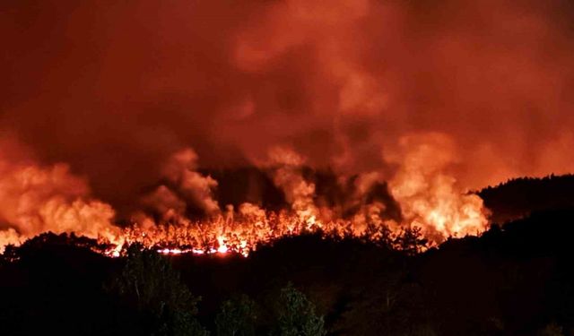 Sakarya’daki orman yangını havadan görüntülendi
